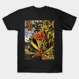 Bright Red Berries in a California Park T-Shirt